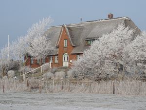 Ferienwohnung für 4 Personen (82 m²) in Pellworm