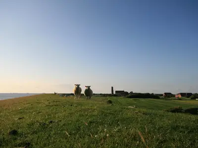 Traumhafte Lage direkt hinterm Deich