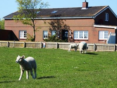 Ferienwohnung für 2 Personen in Pellworm 2/10