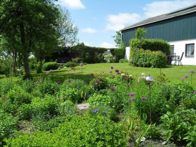 Der Garten im Frühsommer