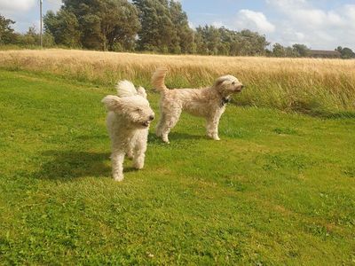 Frida und Lene leben auch auf dem Canadahof