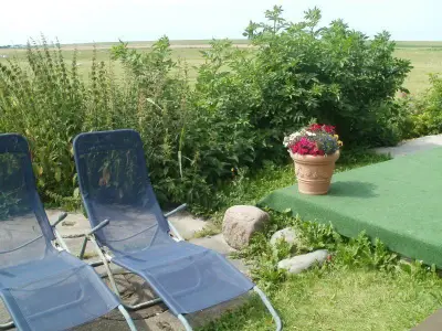 Schmuseschaf nur 2 m von der Terrasse