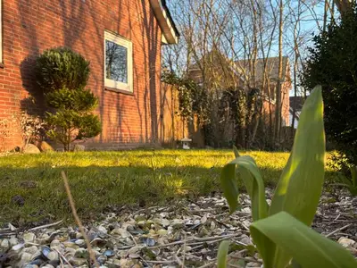 Ferienwohnung für 3 Personen in Pellworm 1/10