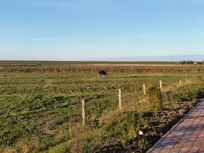 Terrasse. Blick zum Deich, Nov.`16 aufgenommen