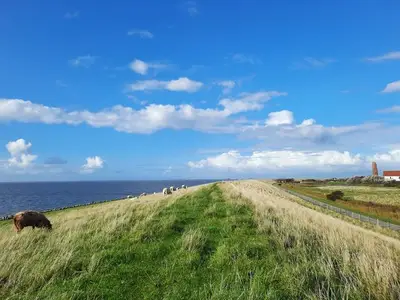 Ferienwohnung für 2 Personen in Pellworm 6/10