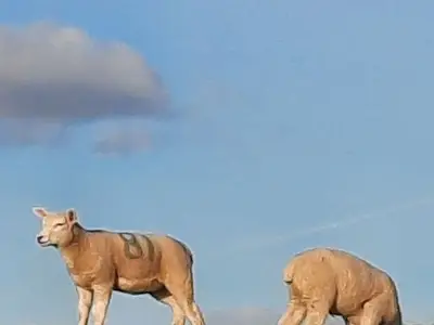 Ferienwohnung für 2 Personen in Pellworm 9/10