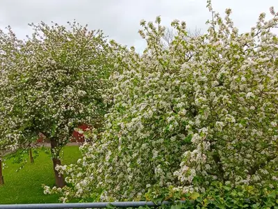 Ferienwohnung für 4 Personen in Pellworm 8/10