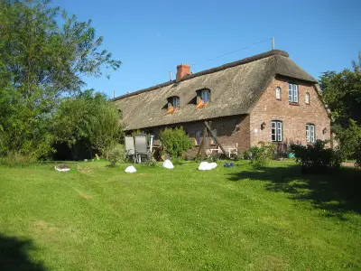 Ferienwohnung für 2 Personen (55 m²) in Pellworm 1/9