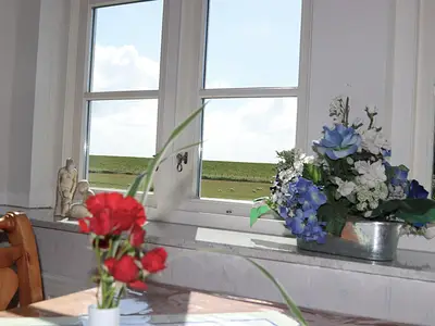 Ausblick vom Esstisch