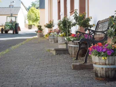 Blick vom Maijeschhof auf die Dorfstraße