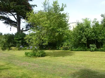 GardenSummer