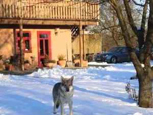 Ferienwohnung für 4 Personen (55 m²) in Mallin