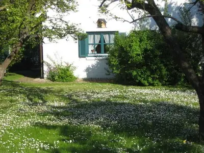 Ferienwohnung für 3 Personen (40 m²) in Wustrow 9/10