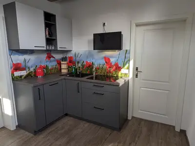 Ferienwohnung für 3 Personen (55 m²) in Penzlin 4/10