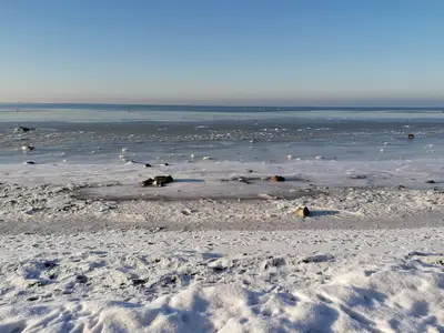 AreaWinter20KM
