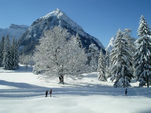 23030433-Ferienwohnung-5-Pertisau-300x225-1