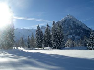 23030433-Ferienwohnung-5-Pertisau-300x225-2