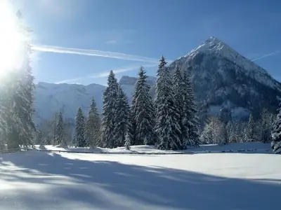 Ferienwohnung für 3 Personen (20 m²) in Pertisau 5/10