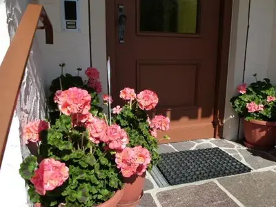 Ferienwohnung für 2 Personen (47 m²) in Pertisau 4/10