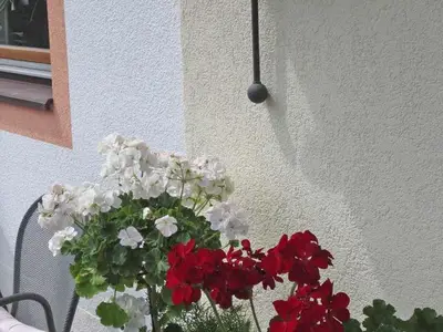 Ferienwohnung für 6 Personen (60 m²) in Pertisau 7/10