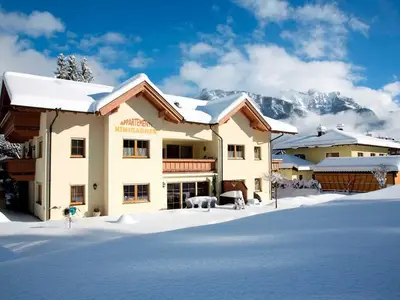 Ferienwohnung für 4 Personen (45 m²) in Pertisau 8/10
