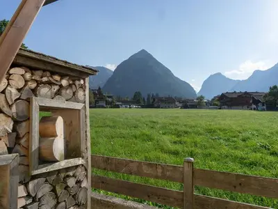 Ferienwohnung für 4 Personen (45 m²) in Pertisau 3/10