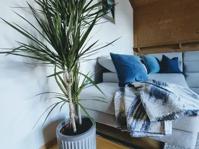 Ferienwohnung für 3 Personen (72 m²) in Pertisau 4/10