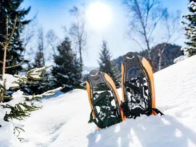 Ferienwohnung für 2 Personen (40 m²) in Pertisau 8/10