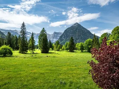 Ferienwohnung für 2 Personen (50 m²) in Pertisau 2/10