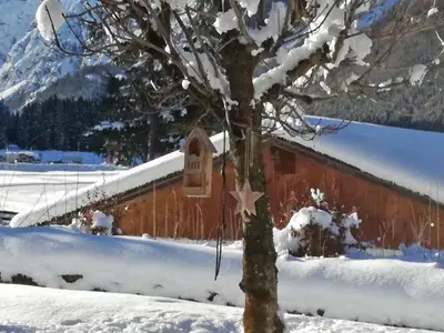 Ferienwohnung für 4 Personen (70 m²) in Pertisau 7/10