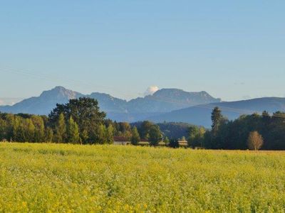 unsere Natur um den Hof