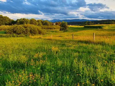 Landschaft um unserem Hof