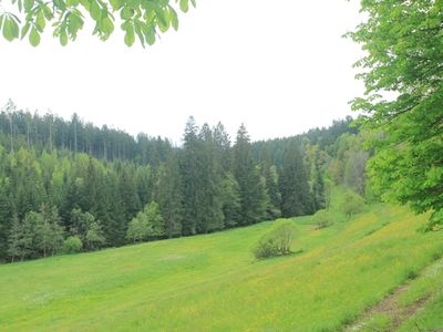 das Naturschutzgebiet Zinsbachtal