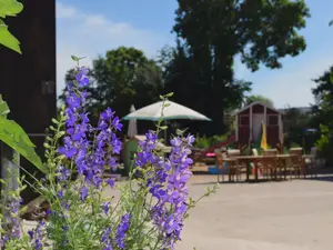 Ferienwohnung für 7 Personen (75 m²) in Pfingstberg