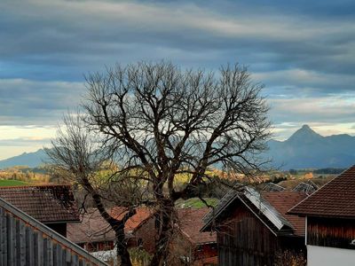 Blick vom Balkon im Herbst