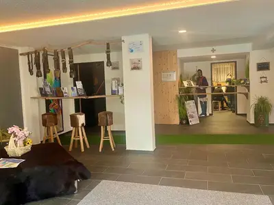 Ferienwohnung für 4 Personen (110 m²) in Pfronten 9/10