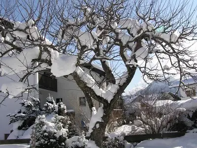 Ferienwohnung für 4 Personen (52 m²) in Pfronten 3/10