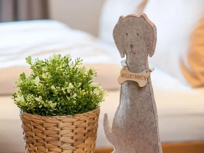 Ferienwohnung für 2 Personen (44 m²) in Pfronten 7/10