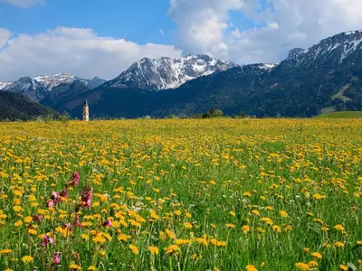 Ferienwohnung für 2 Personen (25 m²) in Pfronten 9/10