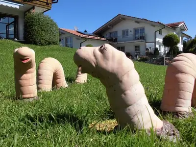 Ferienwohnung für 3 Personen (51 m²) in Pfronten 8/10