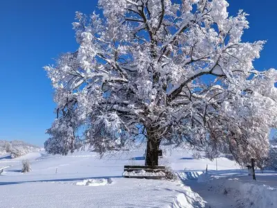 Ferienwohnung für 6 Personen (106 m²) in Pfronten 5/10
