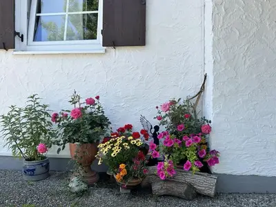 Ferienwohnung für 4 Personen (80 m²) in Pfronten 6/10