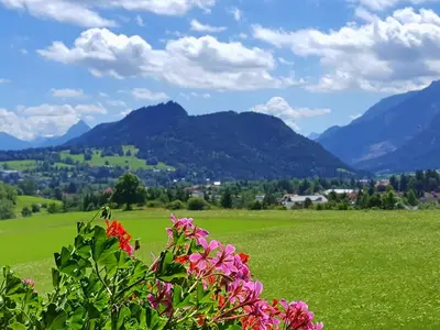 Blick vom Südbalkon