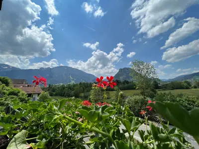 Landschaft