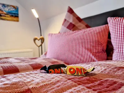 Ferienwohnung für 4 Personen (66 m²) in Pfronten 7/10
