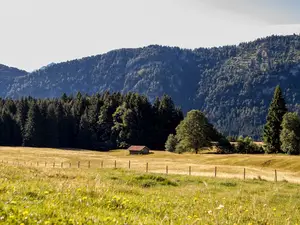 Ferienwohnung für 7 Personen (144 m²) in Pfronten