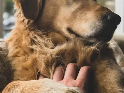 Ferienwohnung für 4 Personen (65 m²) in Pfronten 5/10