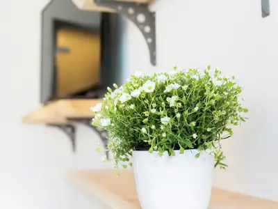 Ferienwohnung für 3 Personen (39 m²) in Pfronten 8/10