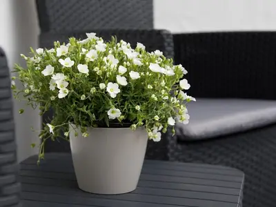 Ferienwohnung für 2 Personen (28 m²) in Pfronten 5/8