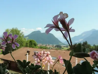 Ferienwohnung für 2 Personen (64 m²) in Pfronten 10/10